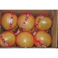 Neue Ernte Frischer Honig Pomelo